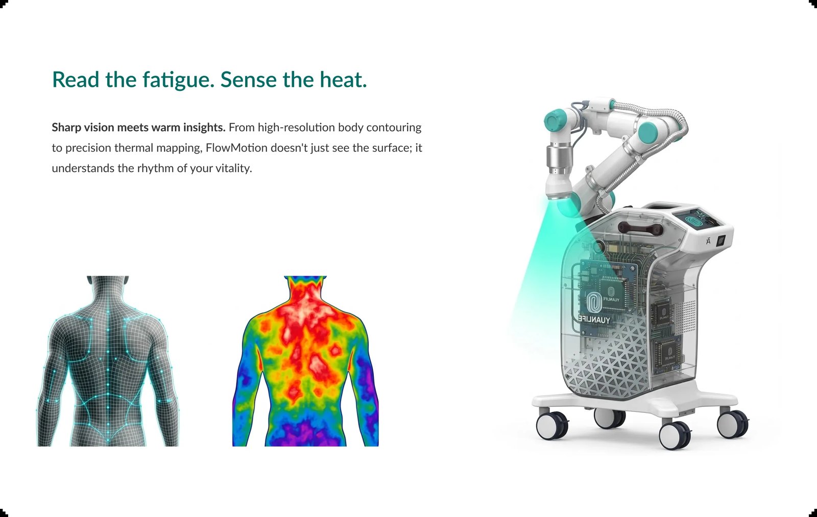 FlowMotion 3D vision and infrared thermal mapping of a person's back
